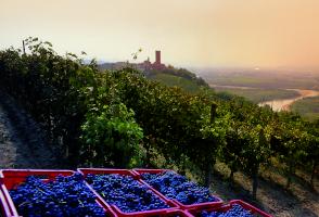 Narrar Castelli e Vini: la Storia è a Colori